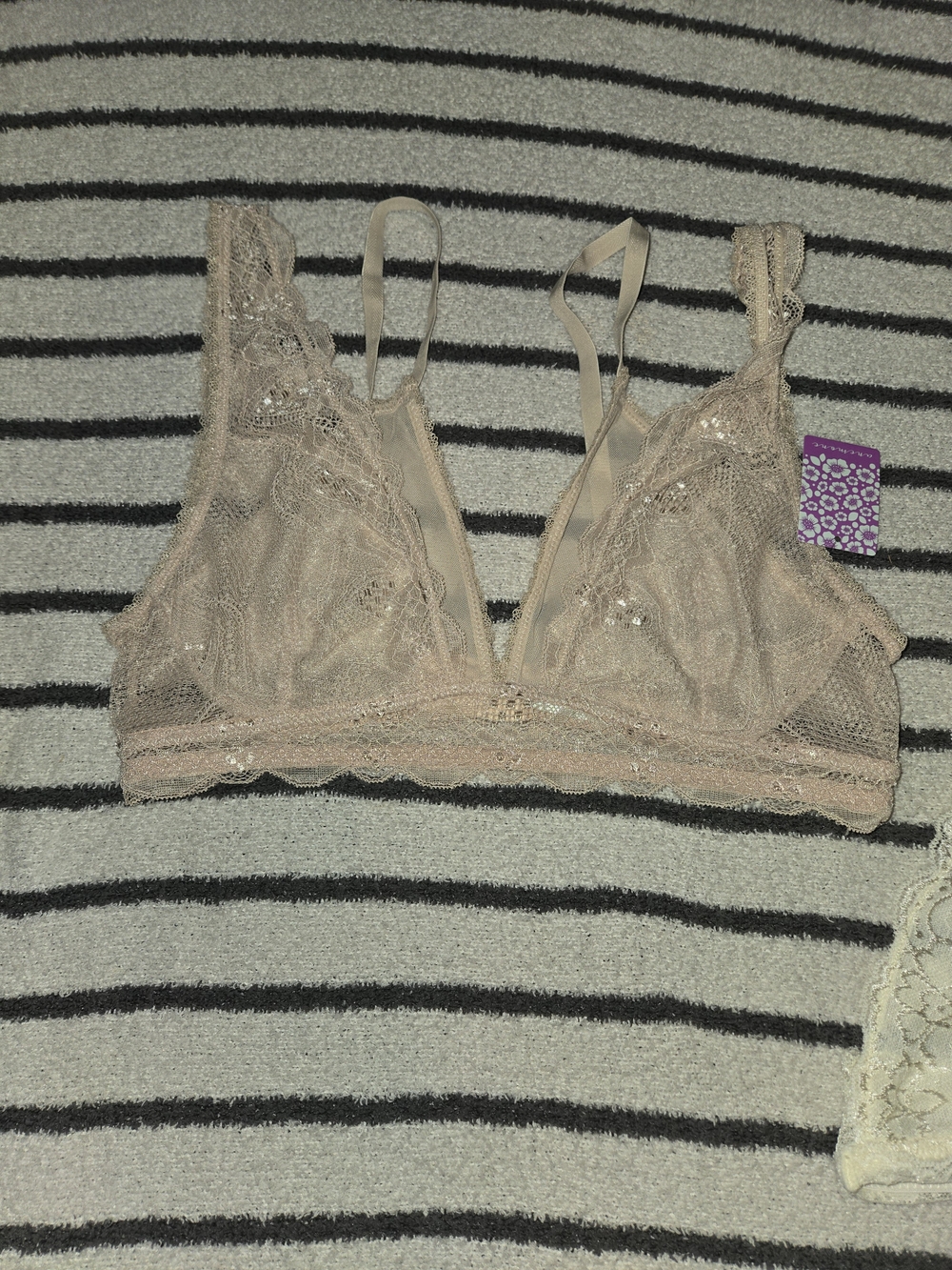 aerie Sheer Lace Bralette in Nude Blush